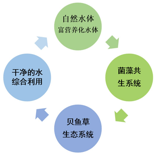 業(yè)務內容