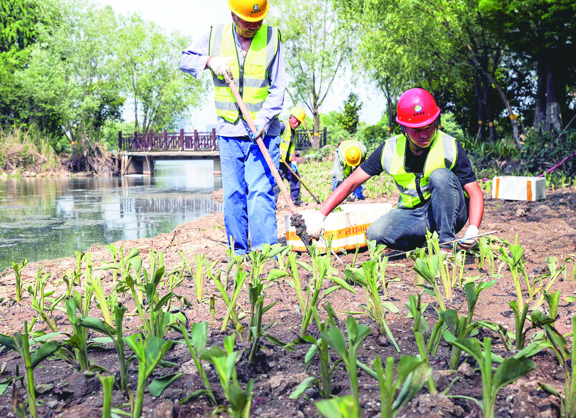 治理備用水源地 重塑南湖水生態(tài)